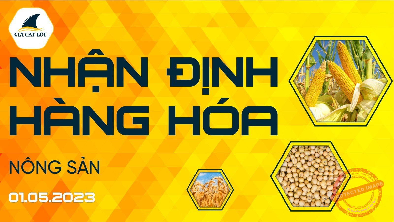 nhan dinh thi truong nong san ngay 01 05 2023
