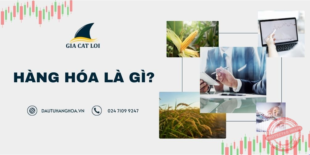 Hàng hóa là gì?