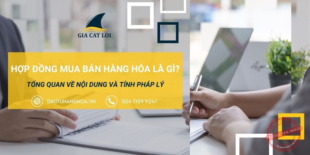 hop dong mua ban hang hoa la gi