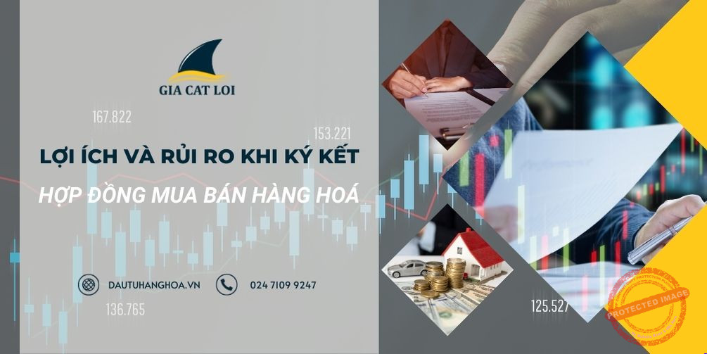 Lợi ích và rủi ro 