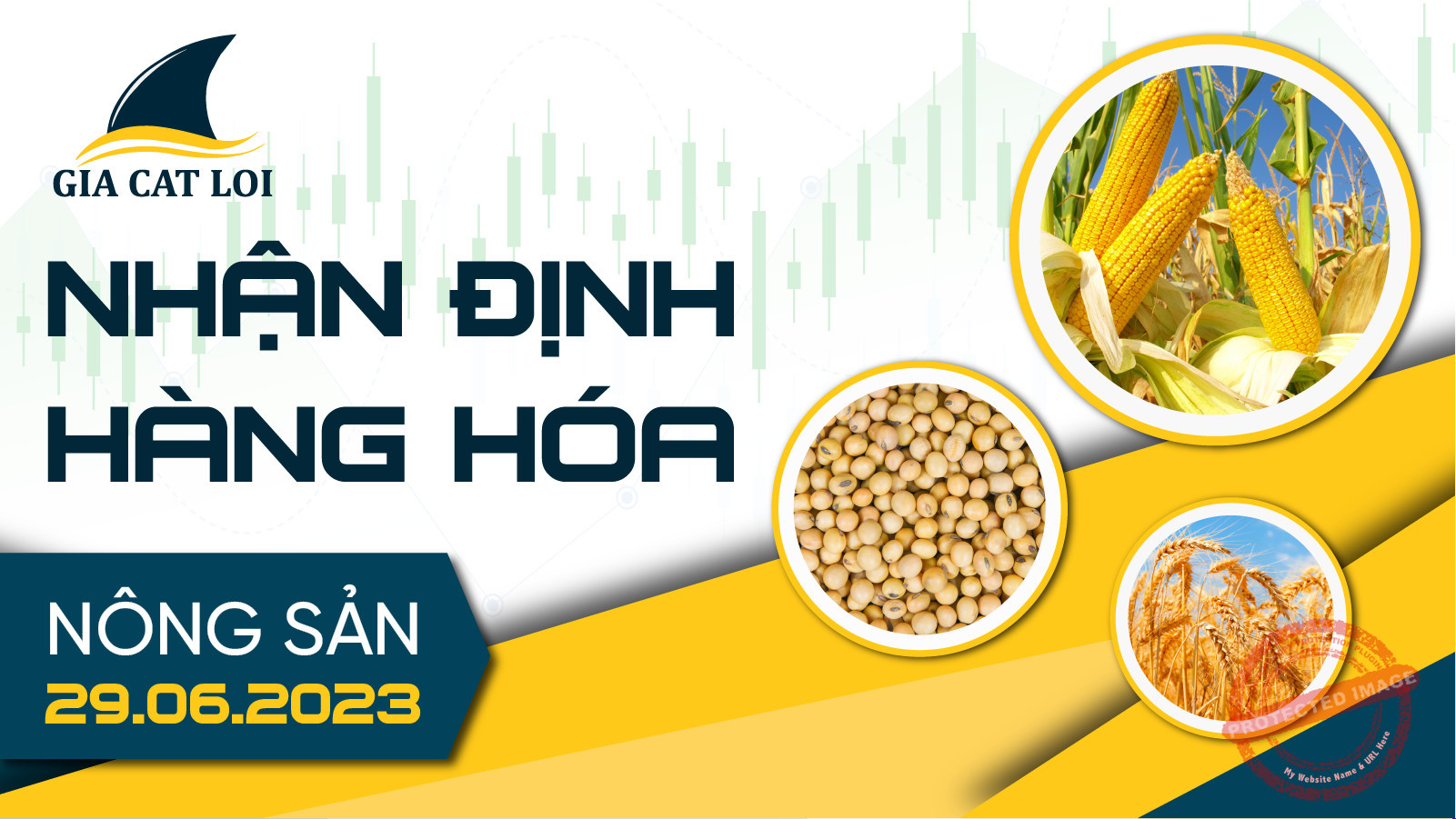 nhan-dinh-nong-san-29-06-2023