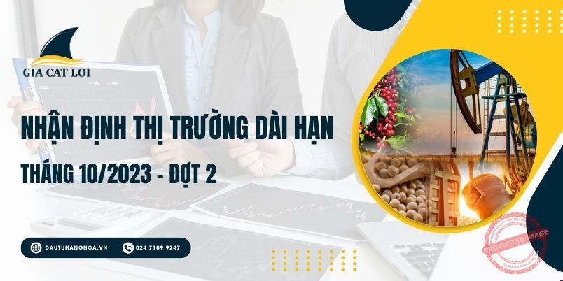 nhan dinh thi truong dai han thang 10 2023 dot 2