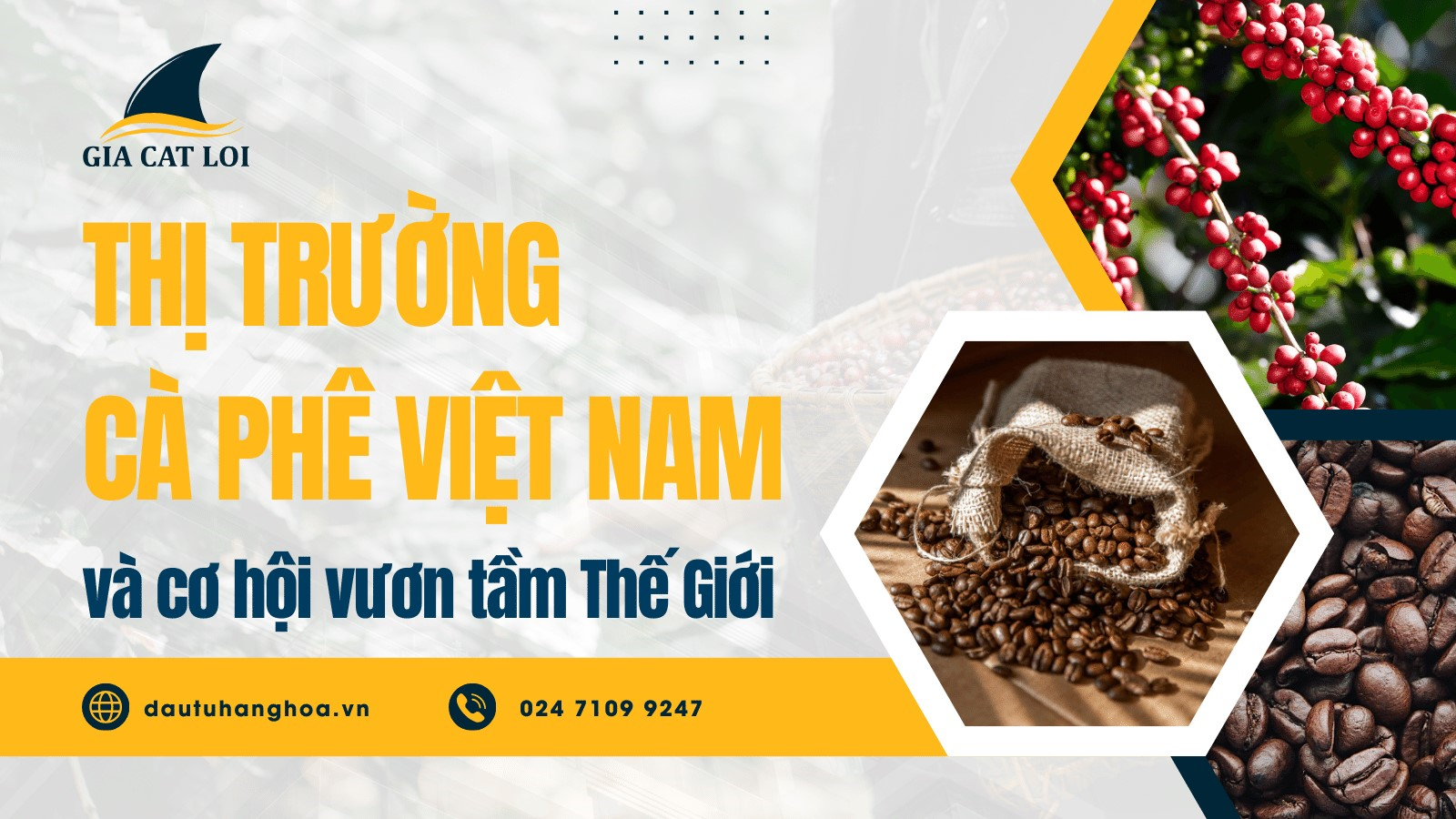 Thị trường cà phê Việt Nam và cơ hội vươn tầm thế giới
