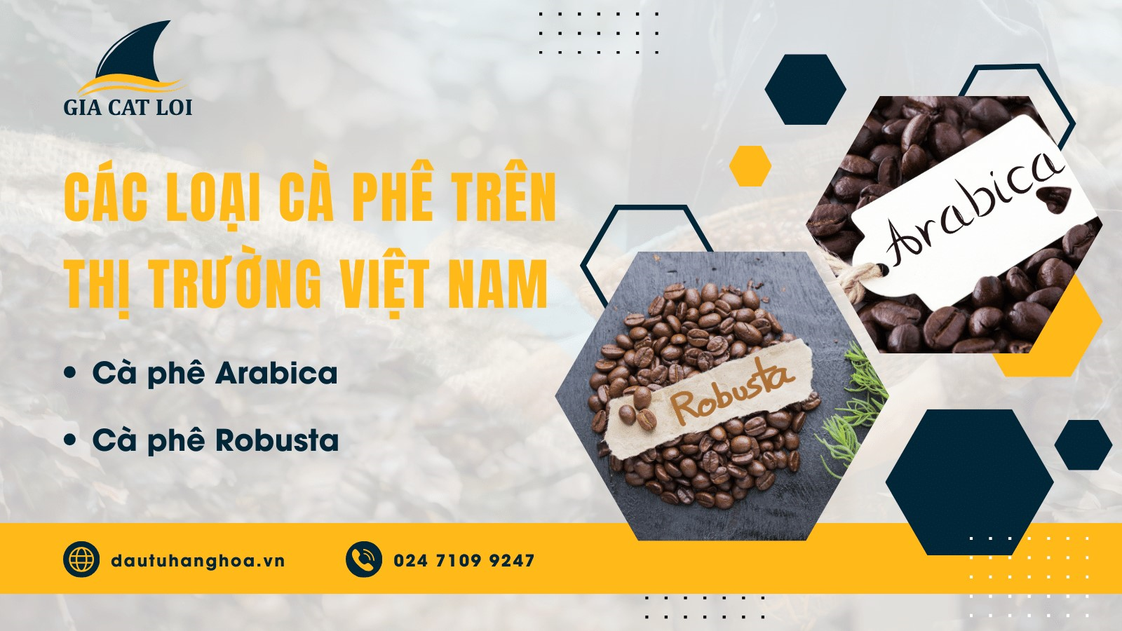 Các loại cà phê trên thị trường Việt Nam