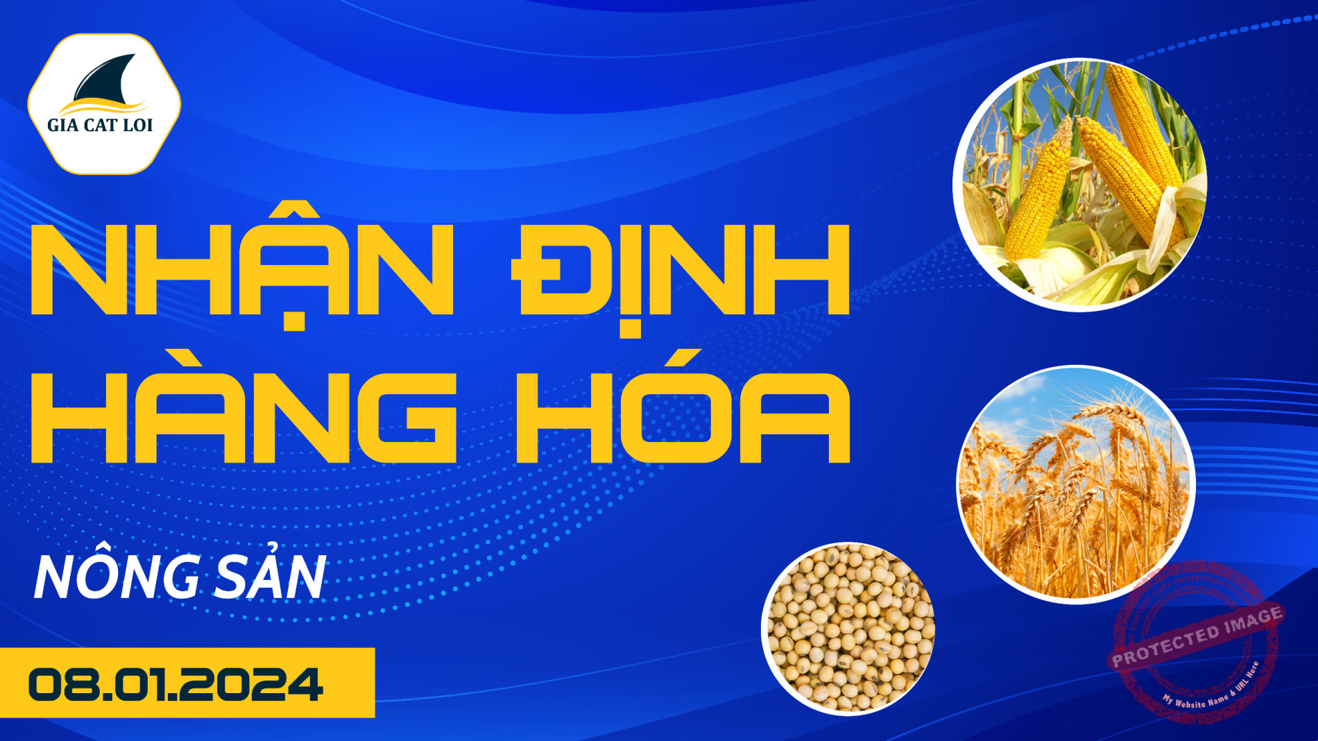 nhan dinh nong san ngay 08 01 2024