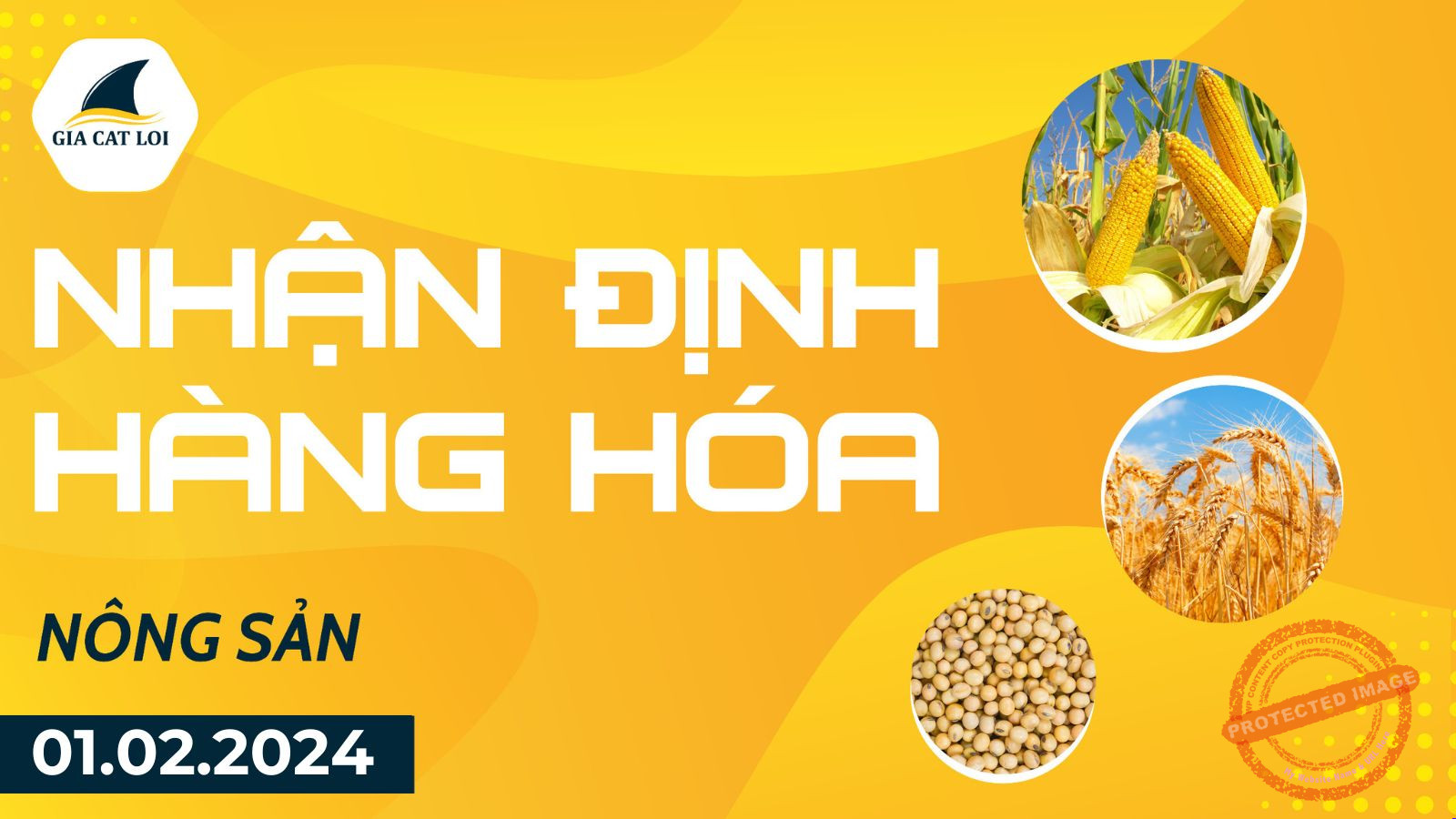 nhan dinh nong san ngay 01 02 2024