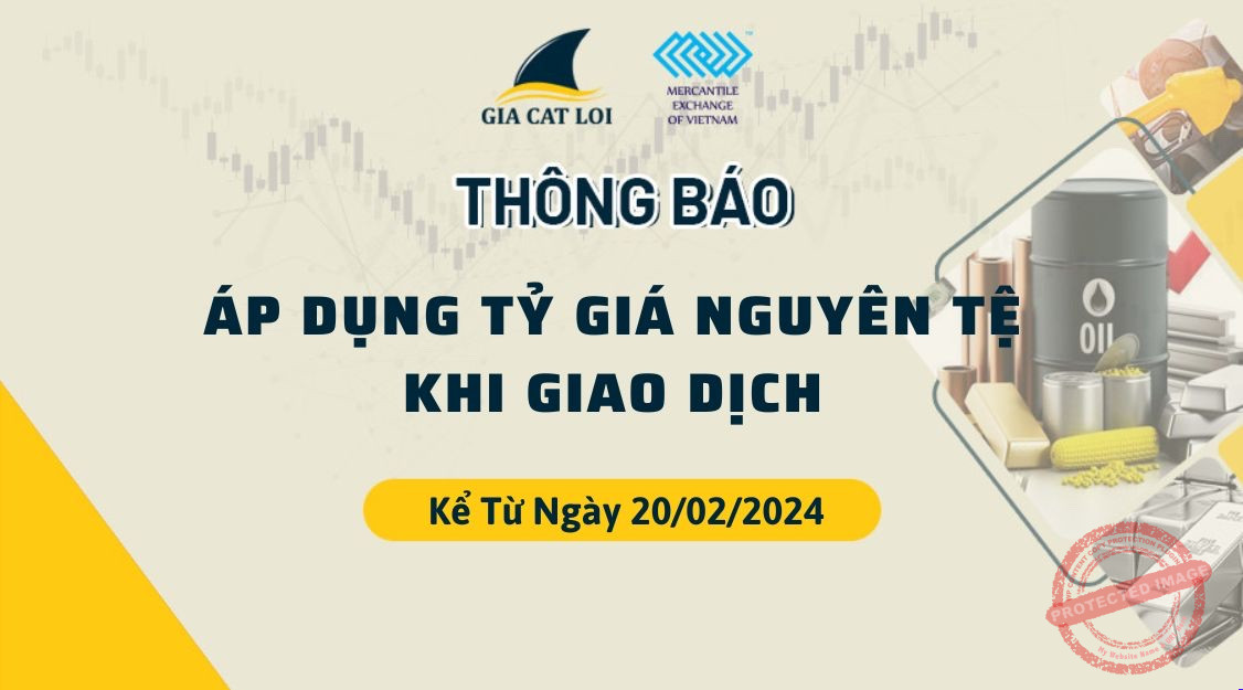 thong-bao-ap-dung-ty-gia-nguyen-te-ngay-20-02-2024.