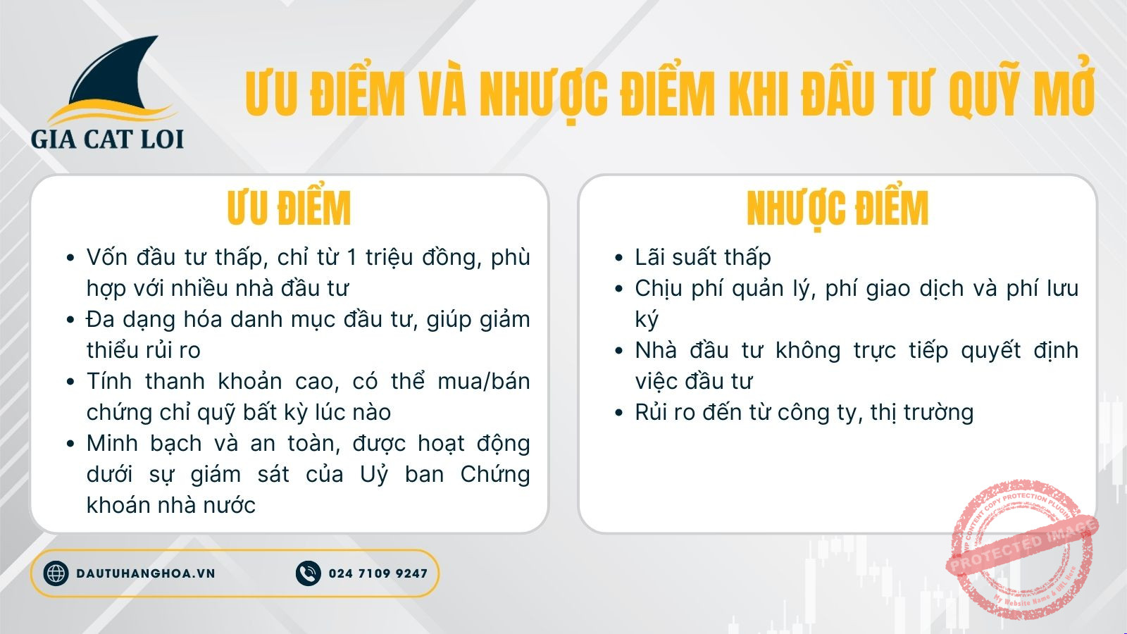 uu diem va nhuoc diem khi dau tu quy mo